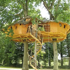  Couette-café Insolite Dans Les Arbres Les Ormes, France